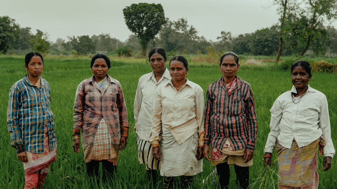 pexels-rasik-mohan-munda-532611699-28220703